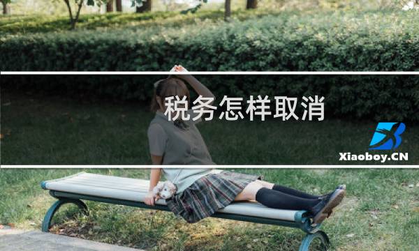 税务怎样取消