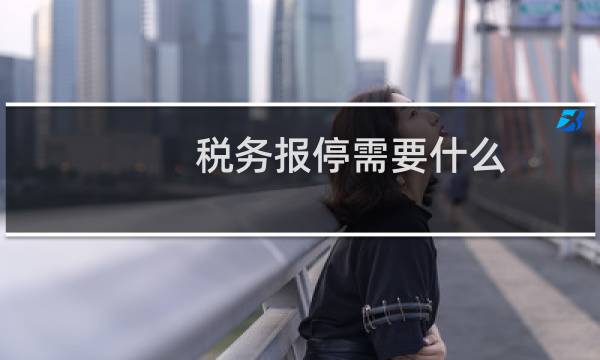 税务报停需要什么