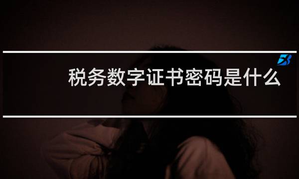 税务数字证书密码是什么