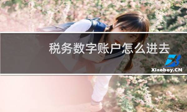 税务数字账户怎么进去
