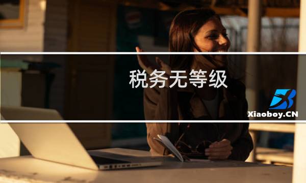 税务无等级