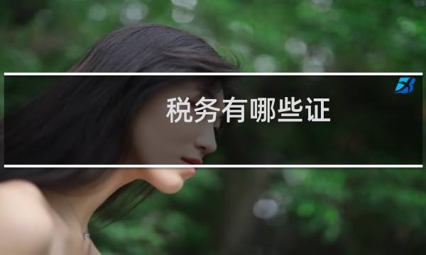 税务有哪些证