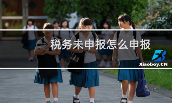 税务未申报怎么申报