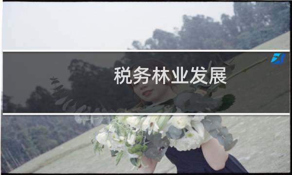 税务林业发展