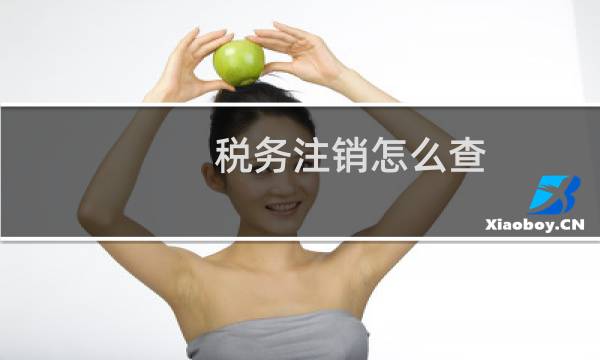 税务注销怎么查