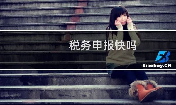税务申报快吗
