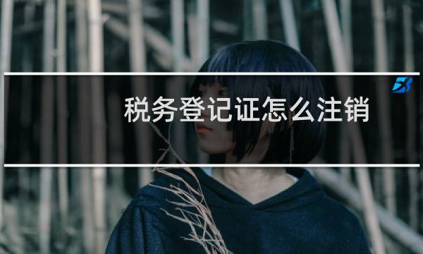 税务登记证怎么注销