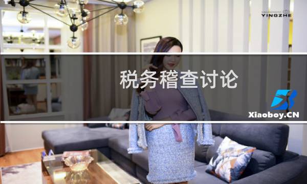 税务稽查讨论