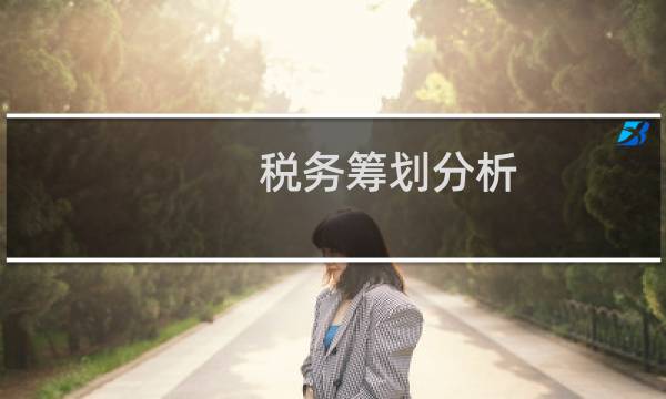 税务筹划分析