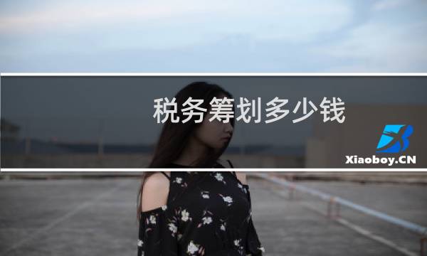 税务筹划多少钱