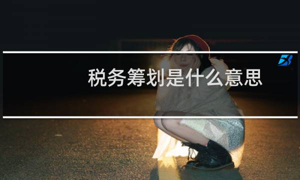 税务筹划是什么意思