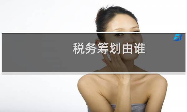 税务筹划由谁
