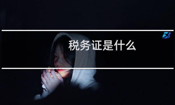 税务证是什么