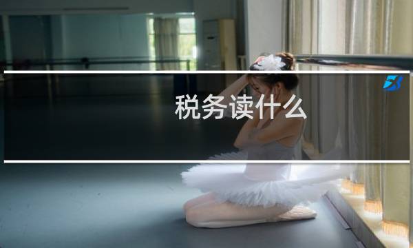 税务读什么
