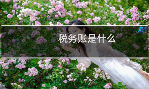 税务账是什么