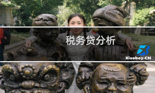 税务贷分析