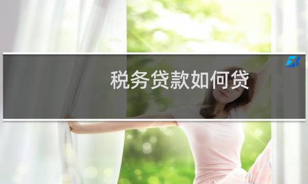 税务贷款如何贷