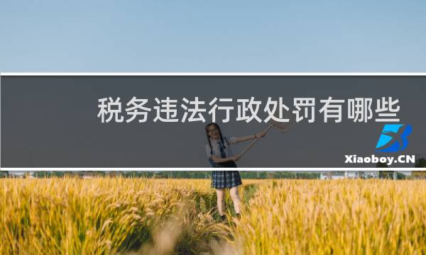 税务违法行政处罚有哪些