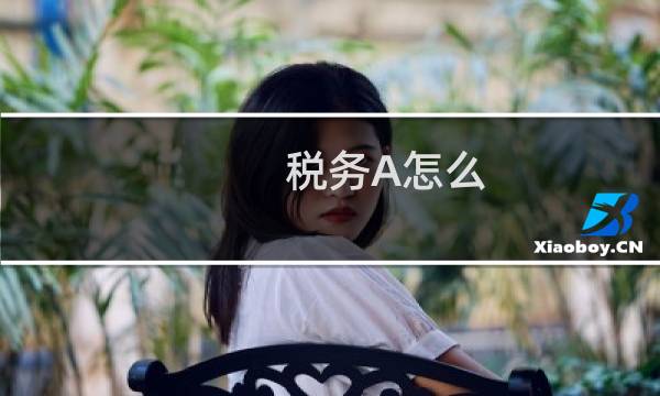 税务A怎么