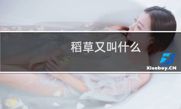 稻草又叫什么