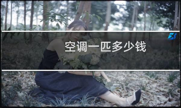 空调一匹多少钱