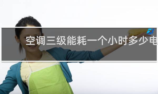 空调三级能耗一个小时多少电