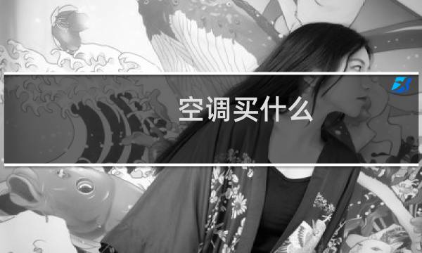 空调买什么