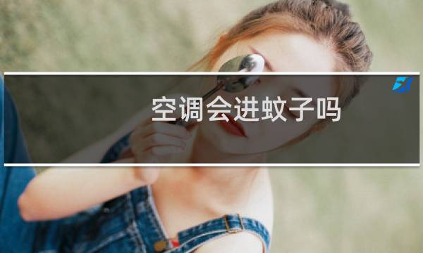 空调会进蚊子吗