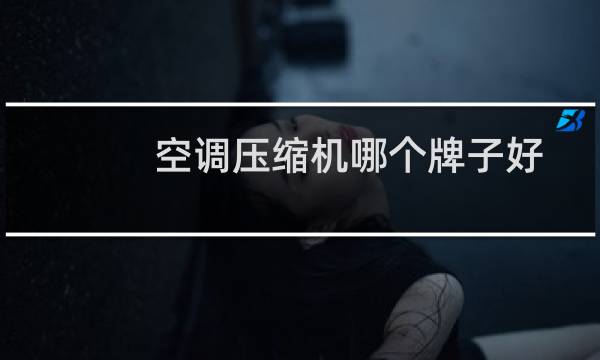 空调压缩机哪个牌子好
