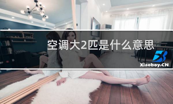 空调大2匹是什么意思