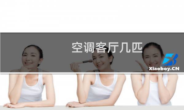 空调客厅几匹