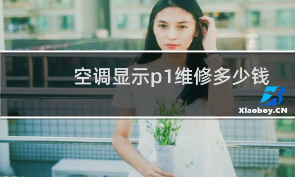 空调显示p1维修多少钱