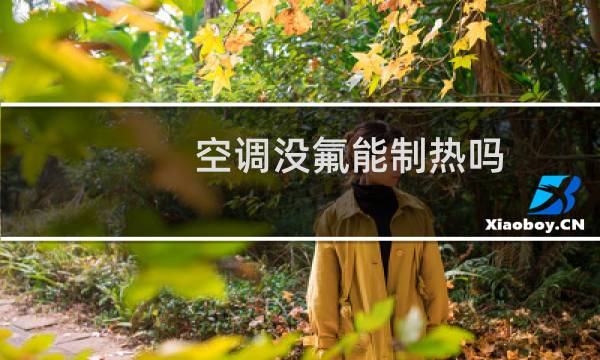 空调没氟能制热吗