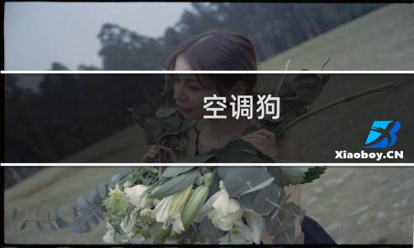 空调狗 攻略