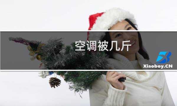 空调被几斤