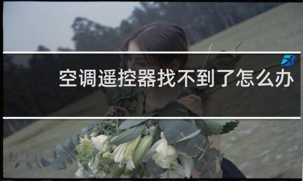 空调遥控器找不到了怎么办