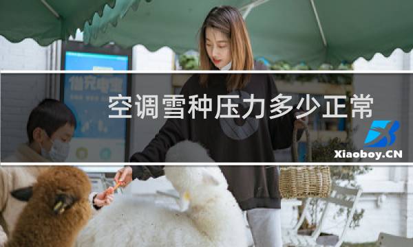 空调雪种压力多少正常