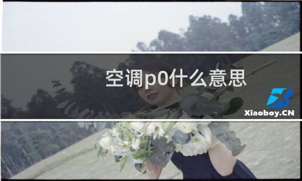 空调p0什么意思