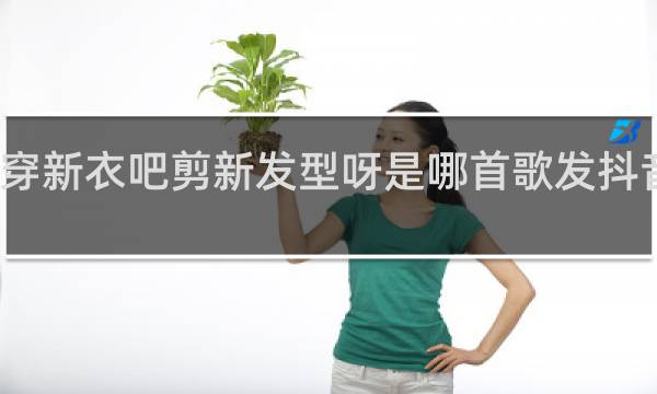 穿新衣吧剪新发型呀是哪首歌发抖音文案