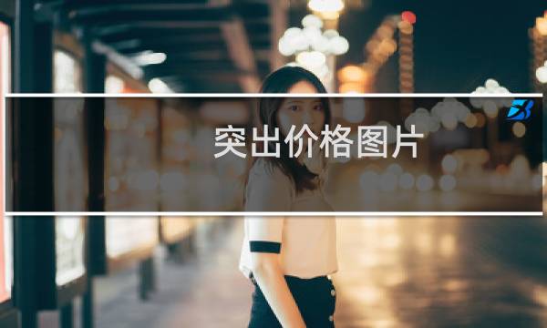 突出价格图片