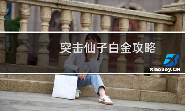 突击仙子白金攻略