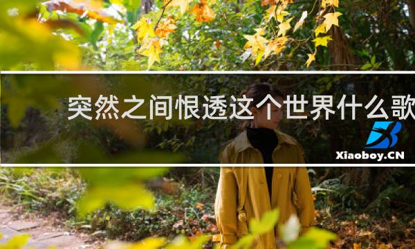 突然之间恨透这个世界什么歌
