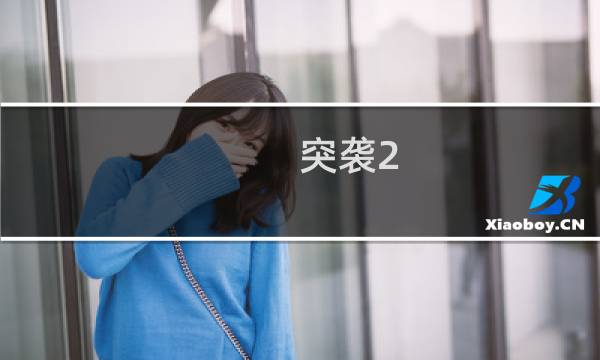 突袭2 秘密行动 攻略
