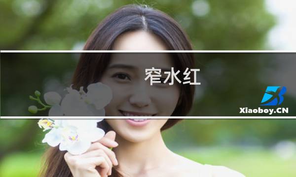 窄水红 价格