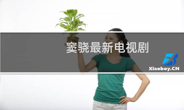 窦骁最新电视剧