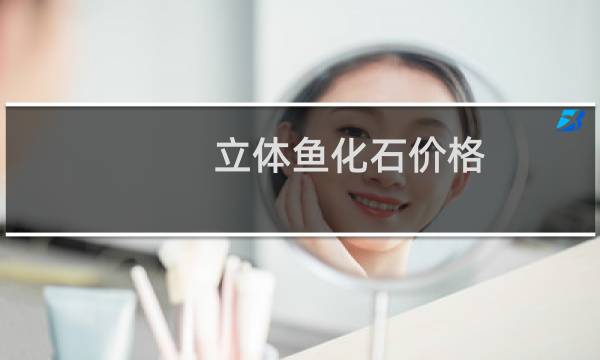 立体鱼化石价格