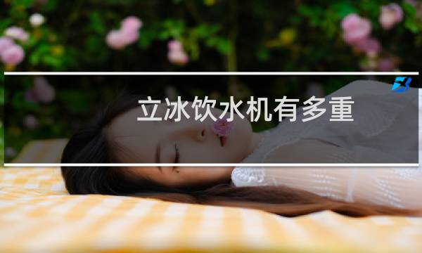 立冰饮水机有多重