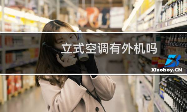 立式空调有外机吗