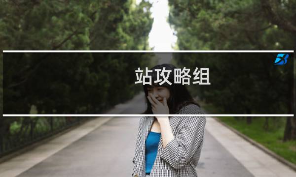 站攻略组