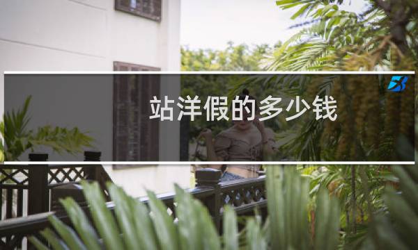 站洋假的多少钱